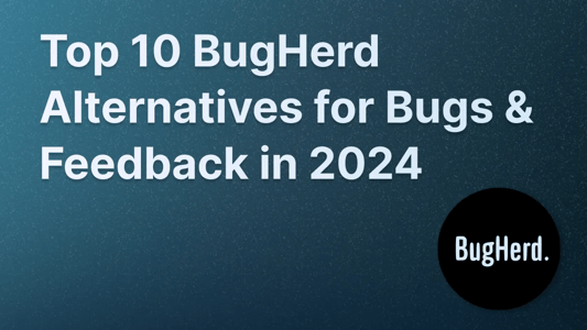 Blog illustration for the top 10 BugHerd alternatives in 2024.