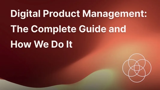 Illustration for the complete guide to digital product management.