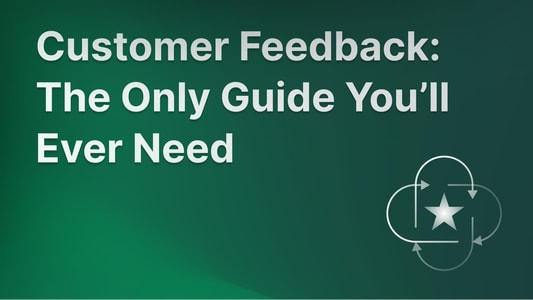 Complete guide to customer feedback collection and management.