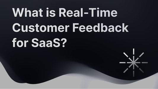 Real-time customer feedback guide for SaaS.